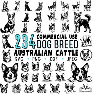 Australian Cattle Dog Svg Dxf Png Jpeg Bundle for Aussie Pet Lovers - Instant Digital Downloads - Commercial Use