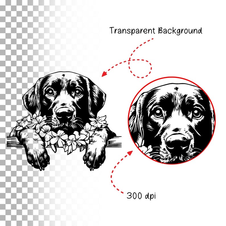 May include: Black and white illustration of a Labrador Retriever dog wearing a flower garland. The dog is looking at the camera with a sweet expression. The image has a transparent background.