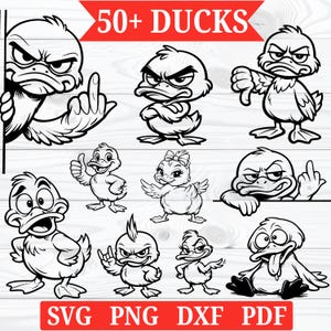 May include: A collection of black and white cartoon duck illustrations with various expressions and gestures. The image includes the text "50+ DUCKS" and file type options: SVG, PNG, DXF, and PDF.