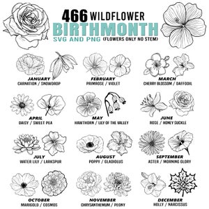 May include: Black and white line art illustrations of 12 different wildflowers, each representing a month of the year. The flowers are labeled with their common names and the month they represent. The text "466 Wildflower Birthmonth SVG and PNG (Flowers Only No Stem)" is at the top of the image.