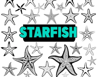 Starfish, Bundle SVG, PNG instant digital downloads