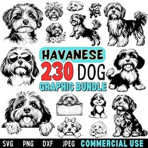 Havaneser Hund SVG DXF PNG Jpeg Bundle Sofortige digitale Downloads Kommerzielle Nutzung