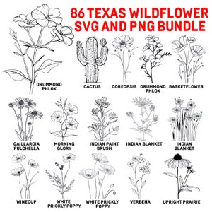 May include: Black and white line drawings of 12 different Texas wildflowers, including Indian Paintbrush, Indian Blanket, and Morning Glory. The drawings are labeled with the common names of the flowers.