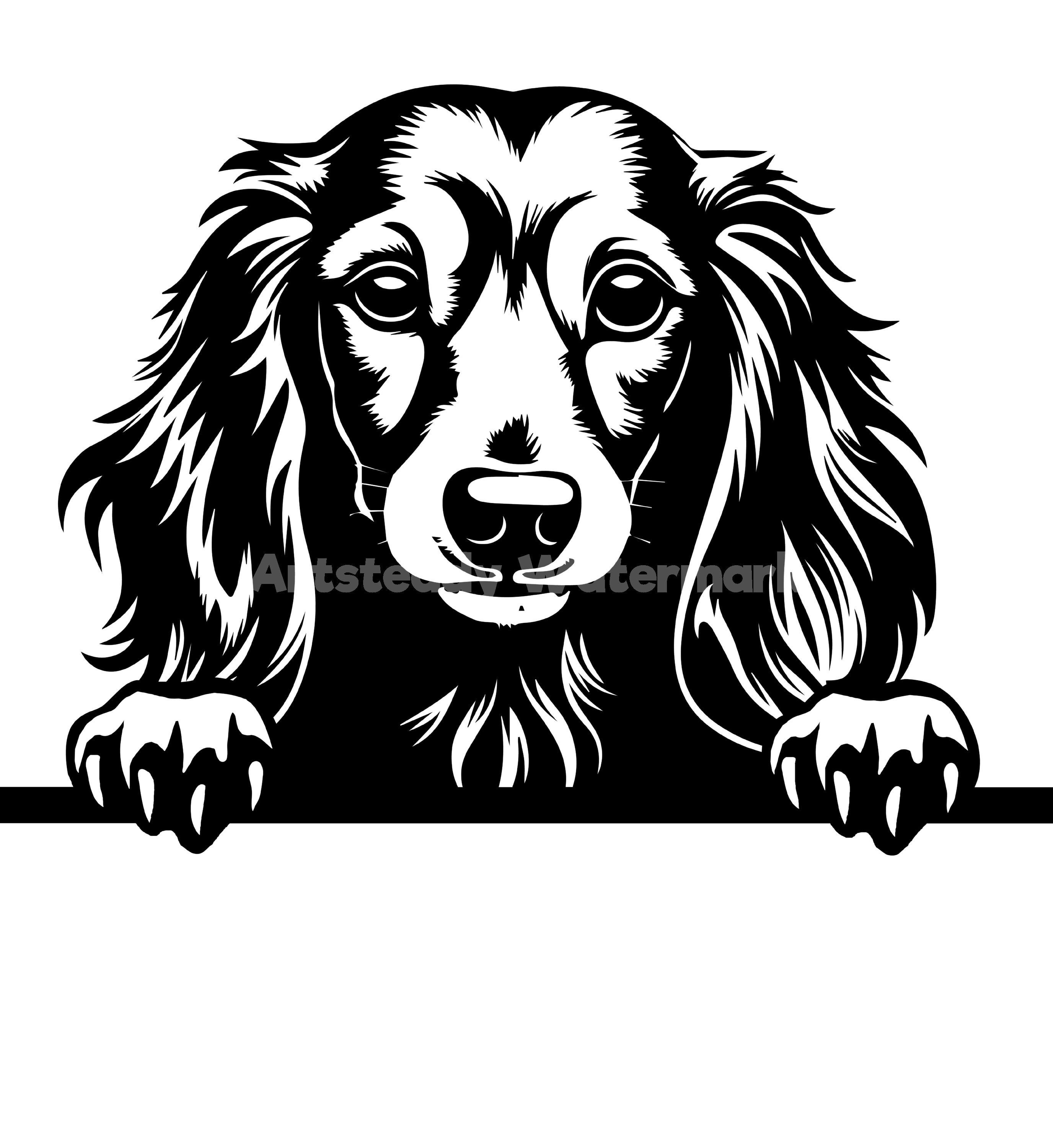 Long Haired Dachshund Peeking Dog SVG, PNG , DXF and Pdf - Dog or puppy pet lover  instant digital downloads