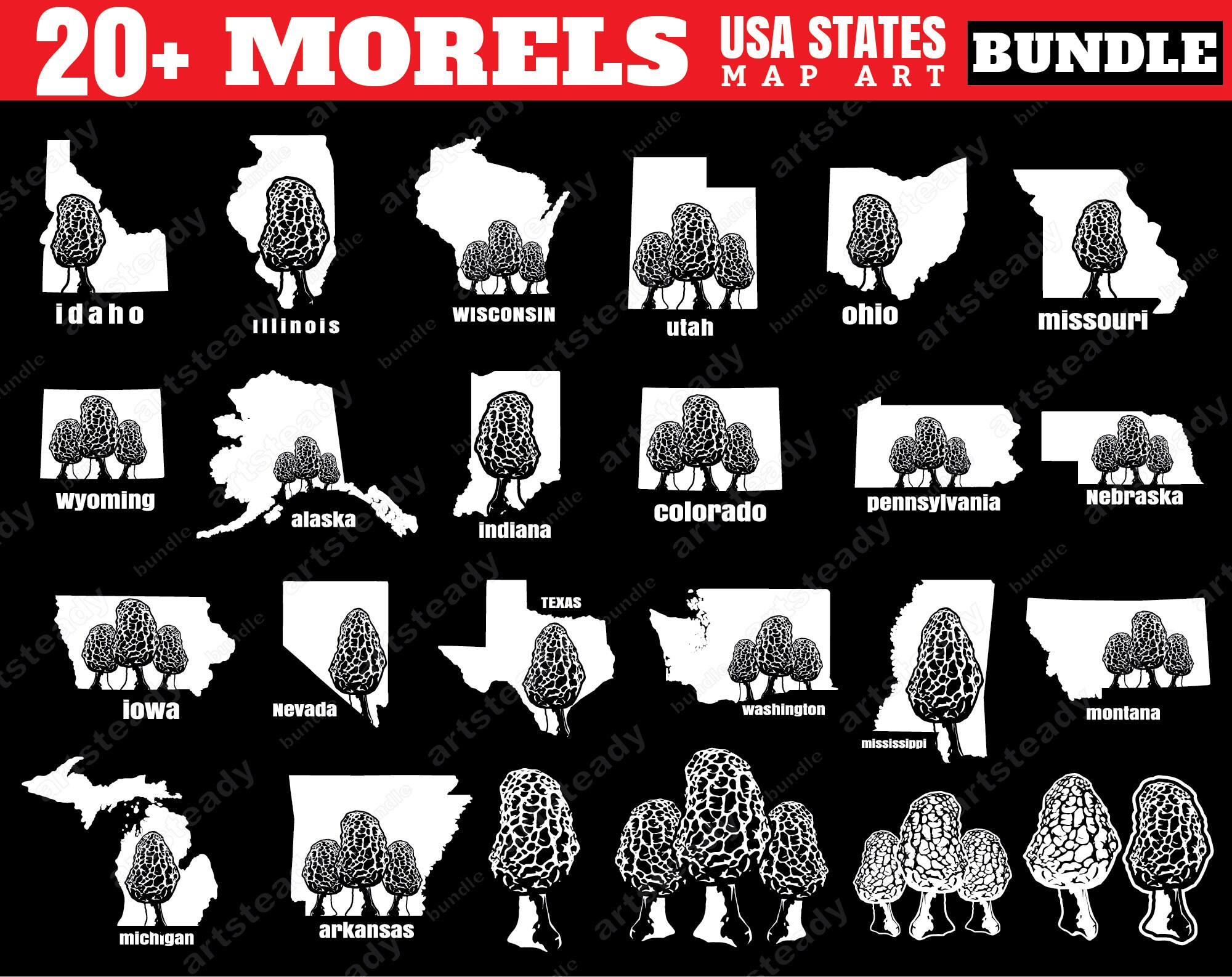 Morel Mushroom Svg USA Map States Graphic BUNDLE Mycologist Etsy