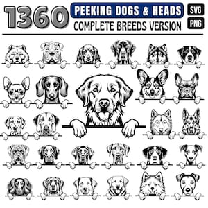 1360 Peeking dogs and heads complete breeds version SVG and PNG bundle graphics - Peeking dogs puppy pet lover owner instant downloads