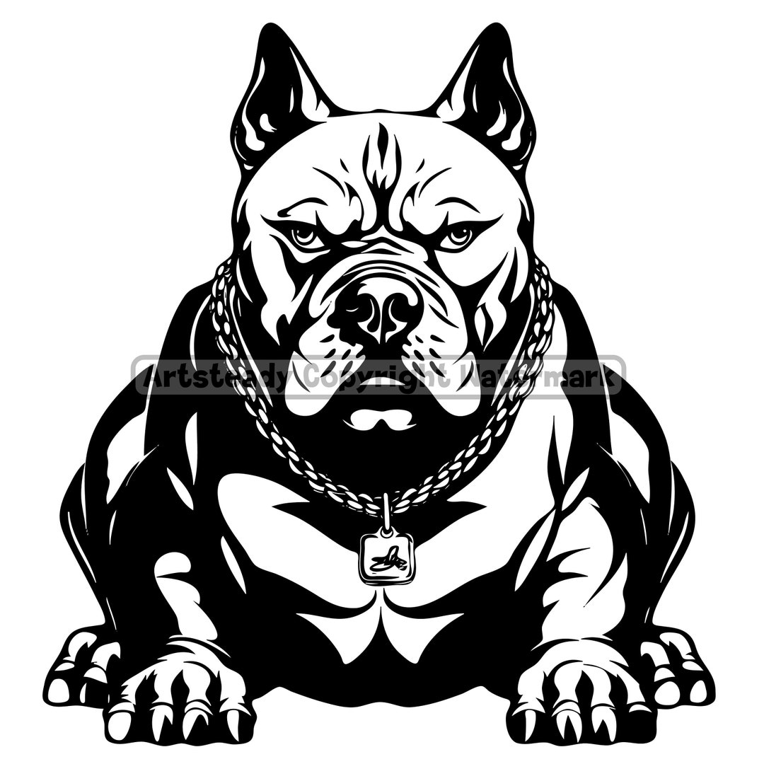 American Bully or Pitbull Pit Bullies Dog Gangster Like a Boss With ...