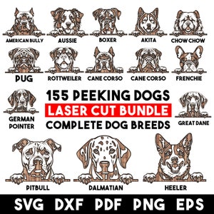 May include: A digital download of 155 laser cut peeking dog designs. The designs include a variety of dog breeds, such as American Bully, Aussie, Boxer, Akita, Chow Chow, Pug, Rottweiler, Cane Corso, French Bulldog, German Pointer, Great Dane, Pitbull, Dalmatian, and Heeler. The designs are perfect for creating personalised gifts, home decor, and more.