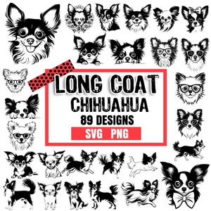 Zestaw SVG PNG z psem Chihuahua o długiej sierści | Uroczy obrazek rasy Chihuahua dla miłośników zwierząt i właścicieli psów | Natychmiastowe pobranie