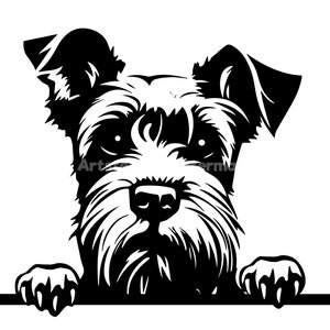 May include: Black and white illustration of a miniature schnauzer dog peeking over a surface. The dog has a fluffy beard and a serious expression.