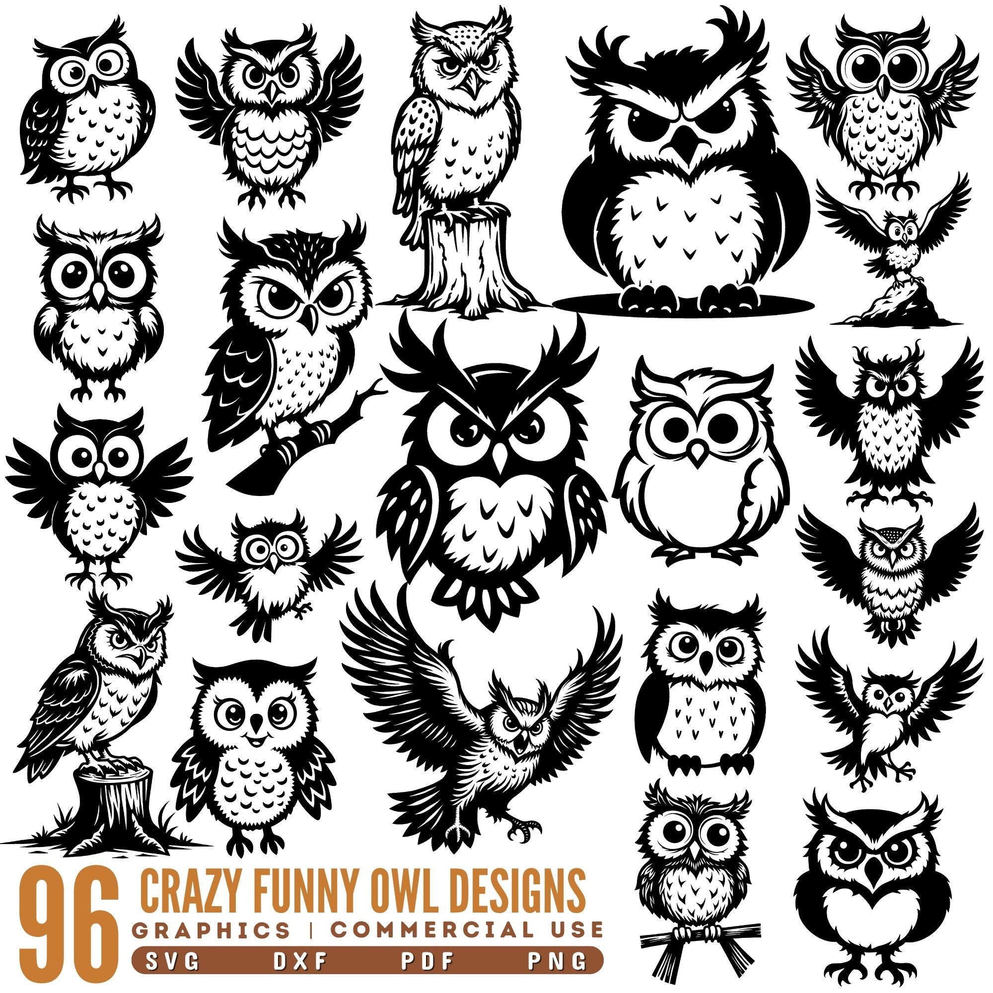 Crazy Funny Owl Designs Svg Png Pdf & Dxf Bundle for Cricut and Silhouette Owl Craft Projects in