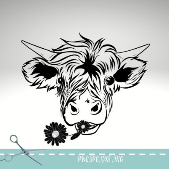 Download Highland Cow Svg Floral Cow Svg Flower Highland Cow Heifer Etsy