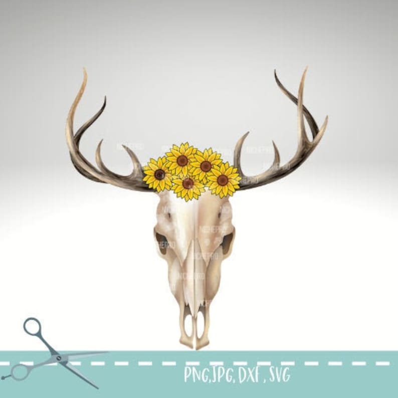 Download Clip Art Dead Head Skull Deer Head Svg Deer Svg Deer Antlers Svg Hunting Svg Deer Skull With Sunflowers Svg Deer Skull Svg Art Collectibles