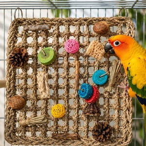 May include: A square woven seagrass foraging mat for birds, featuring various attached items including pinecones, wooden discs in green, blue, and red, a pink rattan ball, a yellow rattan ball, and natural fibre bundles, with a sun conure parrot.