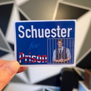 Schuester For Prison Vinyl Sticker