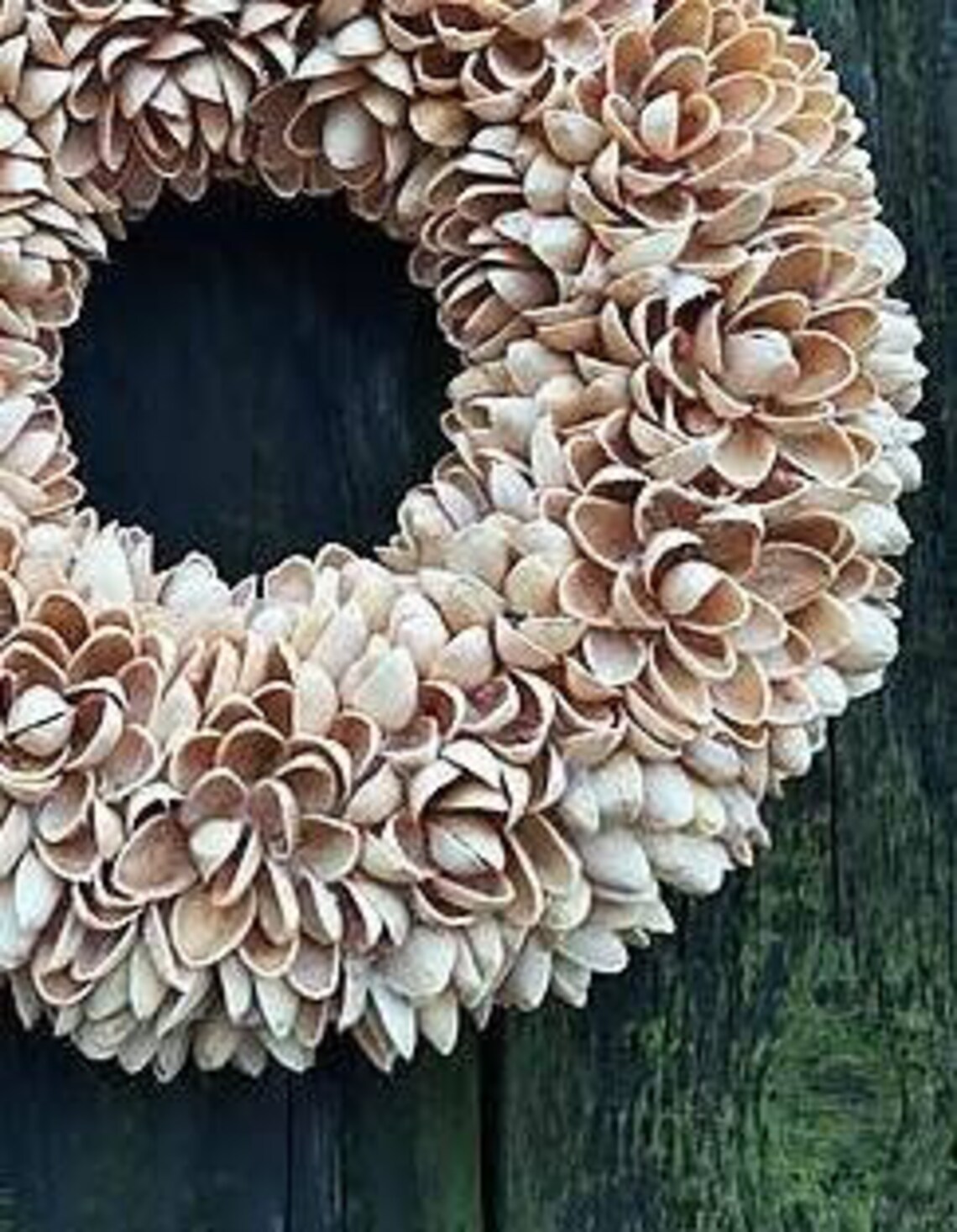 Pistachio Door Wreath Natural Door Wreath All Year Round Door Wreath