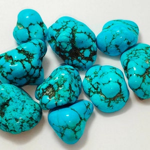 May include: A collection of nine polished turquoise stones, each featuring a vibrant sky-blue colour with intricate, dark brown to black matrix webbing patterns. These smooth, rounded mineral specimens vary in shape and size, displaying a glossy finish.