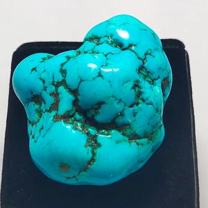 Op de afbeelding: Een gepolijste turkoois edelsteen met een onregelmatige vorm. De steen heeft een heldere blauwe kleur met ingewikkelde bruine en donkergroene adering. De edelsteen staat tegen een zwarte achtergrond.