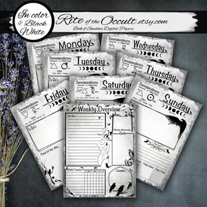 Rabe Witchy Wochenplaner Druckbare Seiten, Undatierter Portrait Planer Digital Download, Pagan Produktivität Planer, Wochenkalender