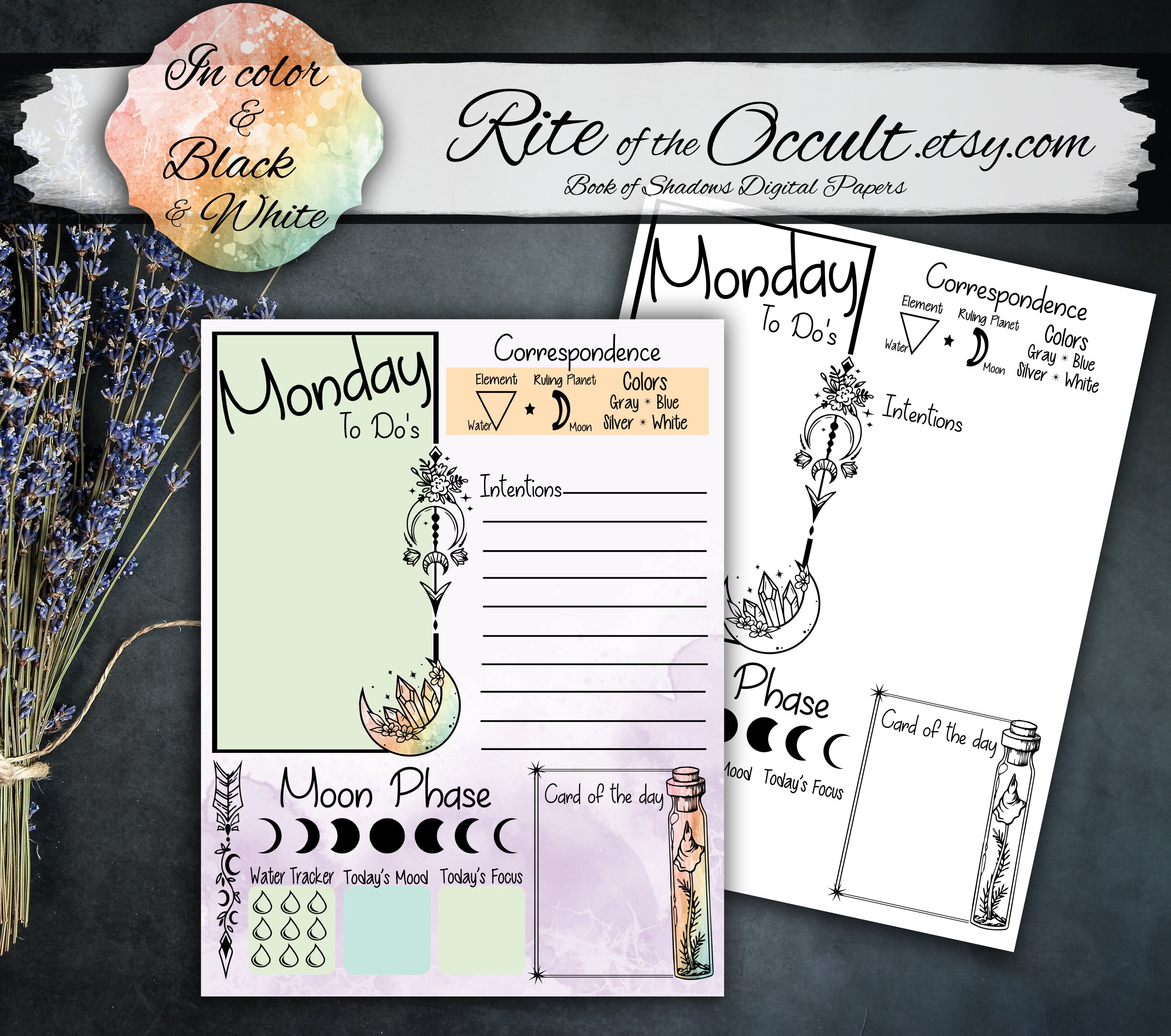 Witch Daily Planner Printable Pages Rainbow Witch Planner - Etsy