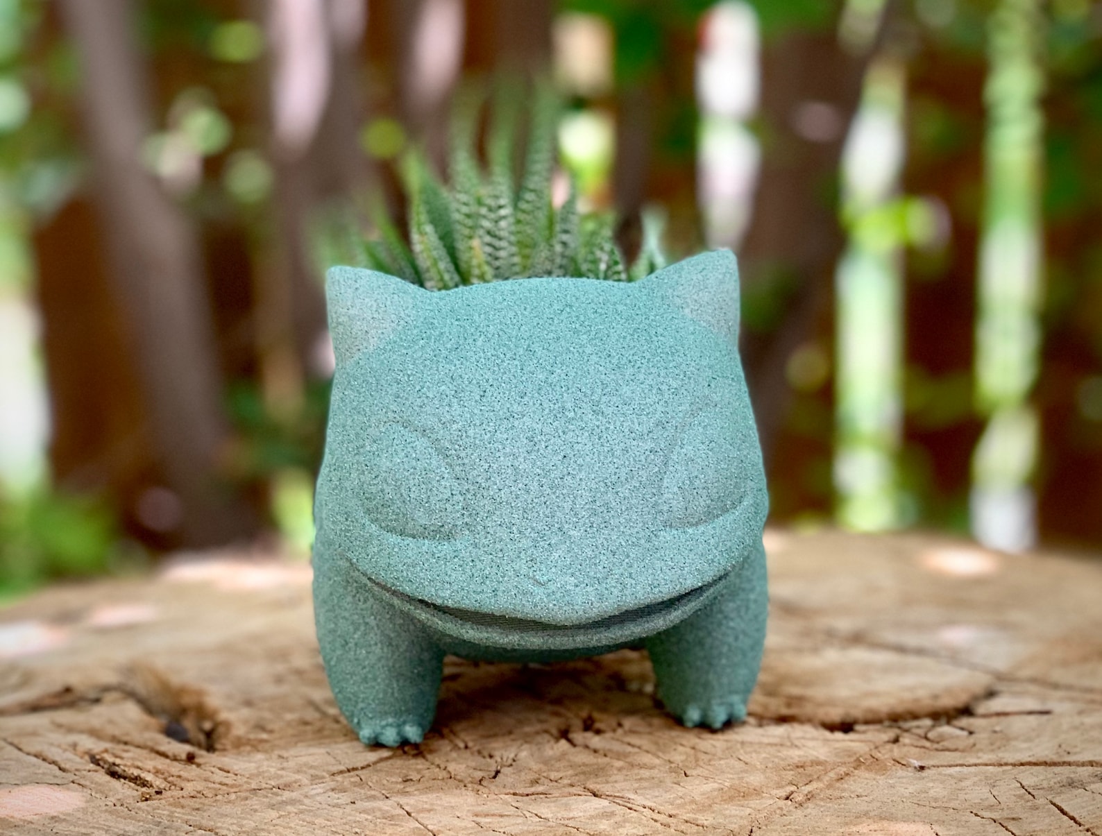 Pokemon Bulbasaur planter bulbasaur succulent pot Pokémon Etsy