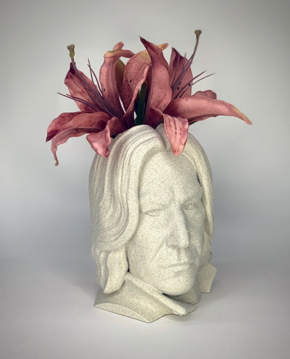 Snape Succulent holder, Snape planter, Snape pot, Severus Snape gift, Harry potter gift, Snape planter