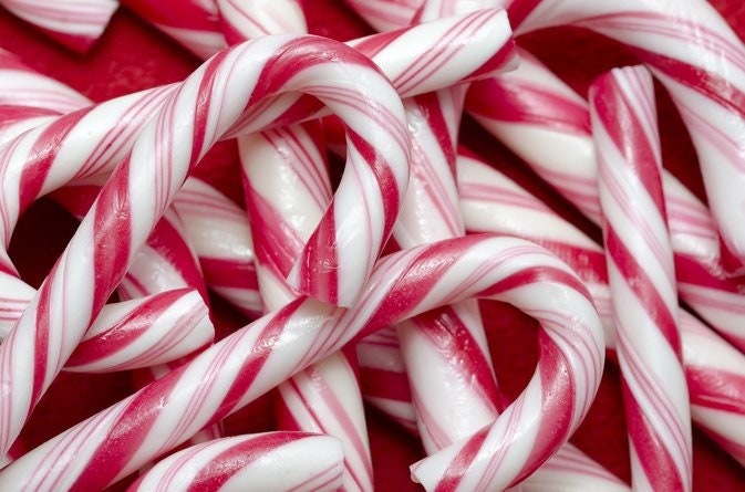 Candy Cane In Ass