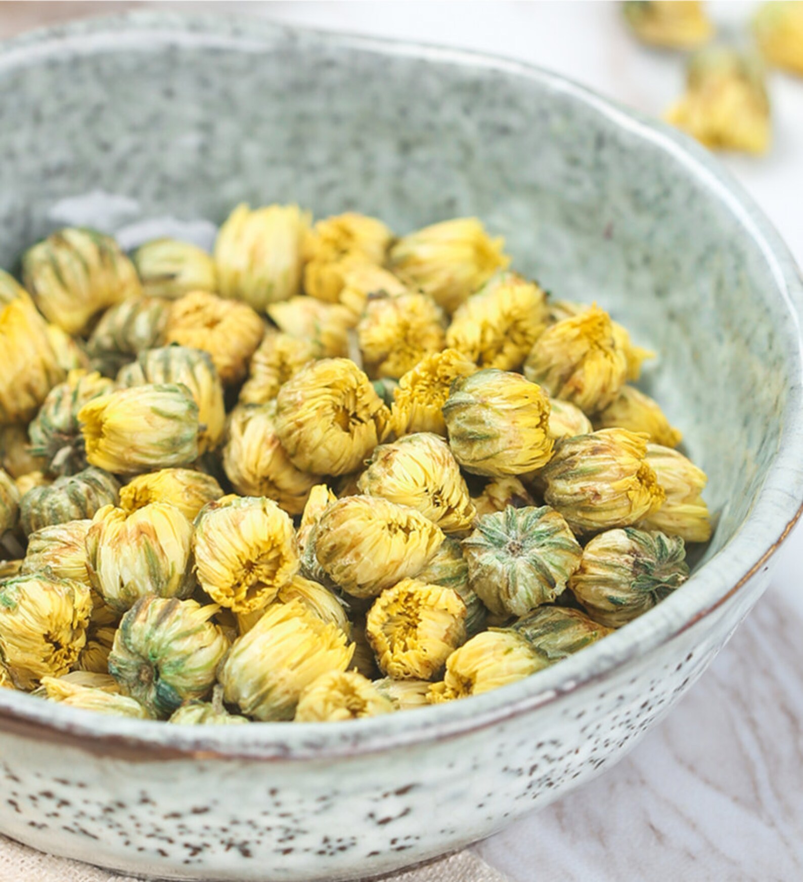 Baby Chrysanthemum Tea Etsy