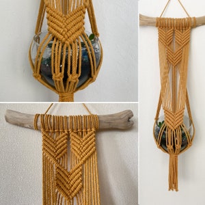 May include: Mustard yellow macrame plant hanger with a clear glass bowl. The plant holder is suspended from a piece of driftwood. The glass bowl contains small plants and soil. The macrame design features intricate knotting.