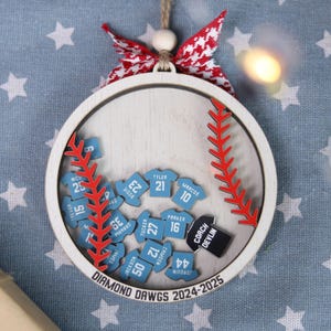 Baseball Team Personalized Ornament, Personalized Coach Shaking Ornament, Baseball Player Ornament, Senior Baseball Team Thank You Gifts