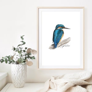 Kingfisher Print | Kingfisher Bird Illustration | British Bird Print | Nature Lover Gift | Gift For Him | Home Decor Nature Print