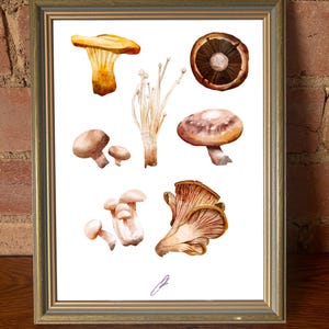 Fully Fungi Mushroom Print