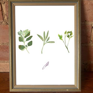 Trio of Herbs Print