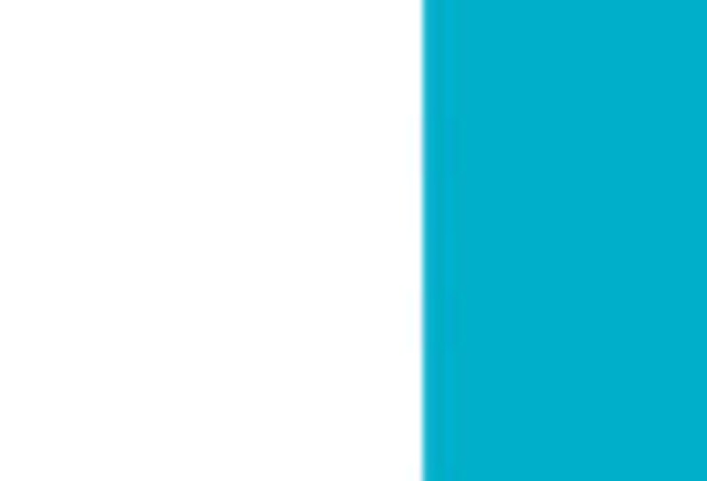 May include: A white and turquoise blue abstract painting with a vertical line dividing the canvas. The left side is white and the right side is turquoise blue.