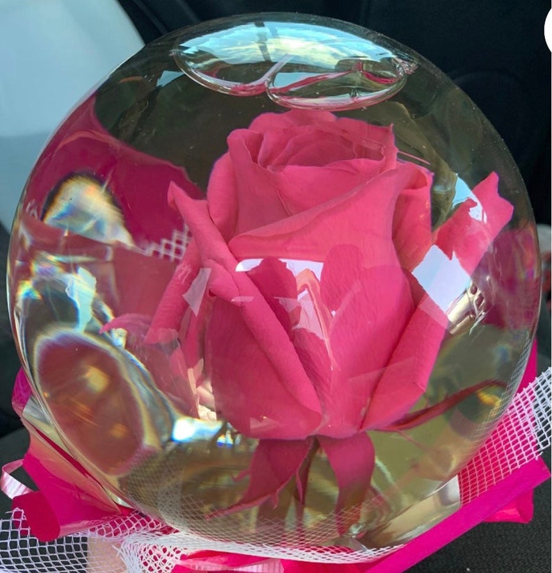 Authentic Rose Globe Real Rose Etsy