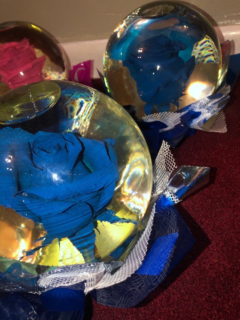 Authentic Rose Globe Real Rose Etsy