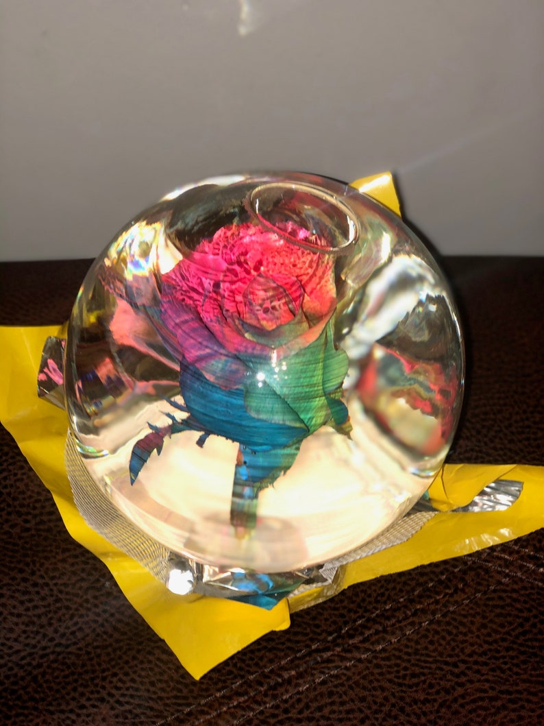 Authentic Rose Globe Real Rose Etsy