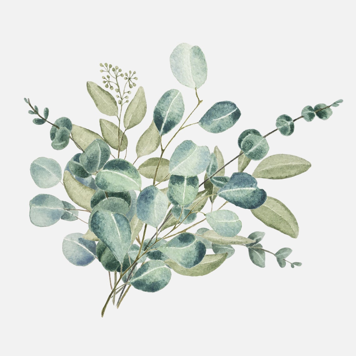 Watercolor Eucalyptus Clipart Boho Greenery Bouquets Set Etsy