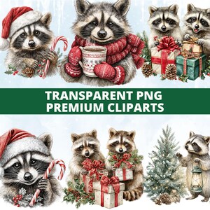 May include: Watercolour illustrations of raccoons in festive holiday attire. Some raccoons wear Santa hats, scarves, and mittens, holding gifts, candy canes, and mugs. The image includes the text "TRANSPARENT PNG PREMIUM CLIPARTS".