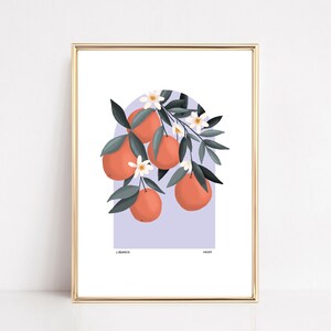 Orange tree, A4 poster, Morocco poster, gift idea