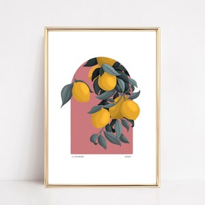 Citronniers, Affiche A4, Poster Maroc, idée cadeau