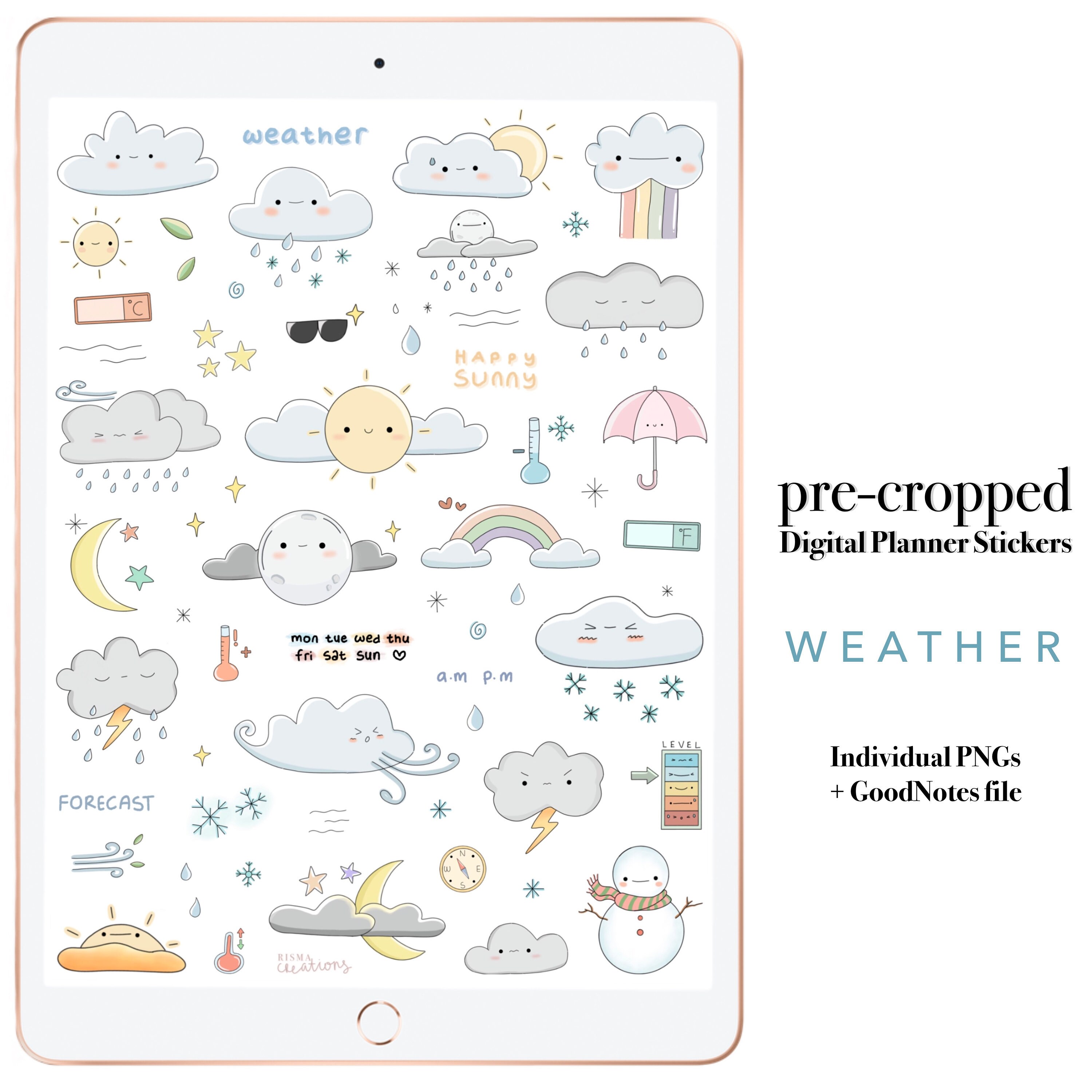 Weather Digital Stickers, Weather Icons for Goodnotes Journal Planner ...