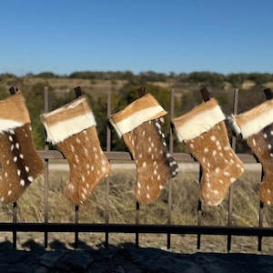 Axis Deer Stocking