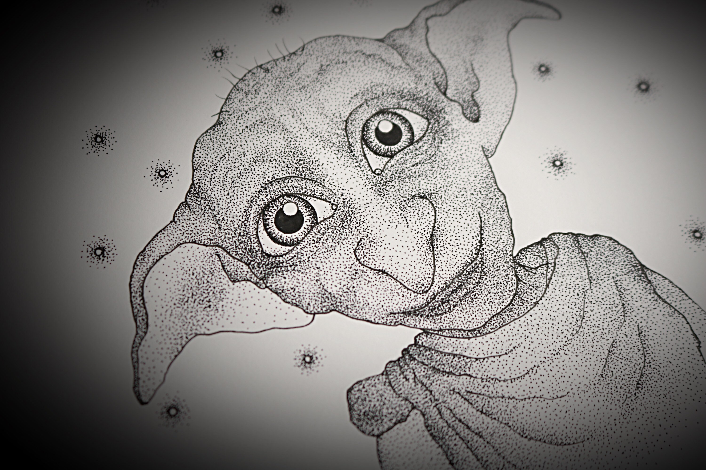 Dot work art print 'Dobby' A5 Harry Potter and his | Etsy