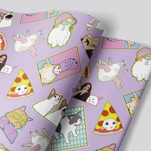 x2 sheets Cat Meme Wrapping Paper - Funny Joke Y2K Gift Gift Wrap Wrapping Paper