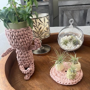 May include: A wooden tray with three small air plants in crocheted pink pots. The tray also has a crocheted pink planter with a small green plant inside.