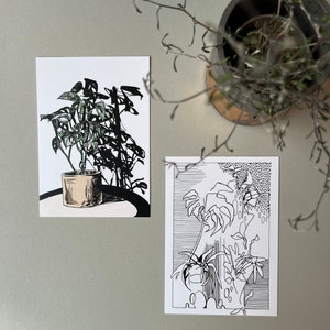 Postkarten Set Pflanzenillustration