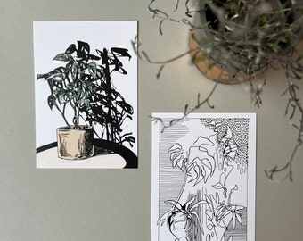 Postkarten Set Pflanzenillustration