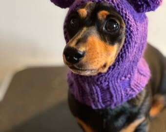 Pom Pom hat for miniature dachshund