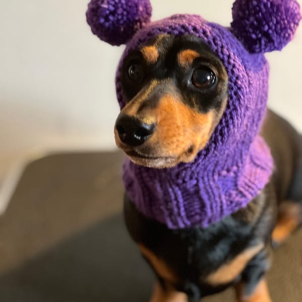 Pom Pom hat for miniature dachshund